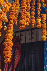 Colorful doorway in Oaxaca with hanging guirlande of cempasuchil the tradional orange flower for cultural celebration Day of the Death in Mexico used as decoration and offering for Día de Muertos