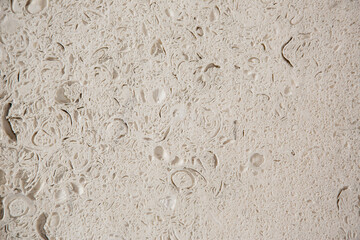 Abstract Wall interior decor.