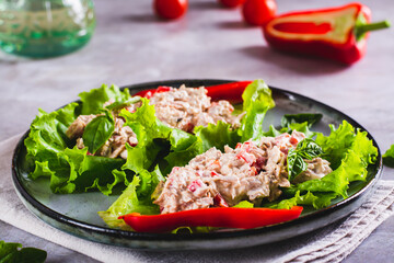 Canned tuna salad with vegetables on lettuce leaves on a plate