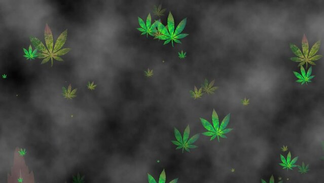A lot of cannabis floating in a dark with smoke. Faded green color marijuana icons pattern on black background. Cannabis, design mockup, tripping, smoke drug concept image