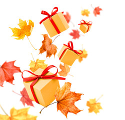 flying maple leaves and levitating gift boxes on a white isolated background