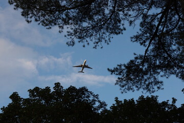 J'ai aperçu une avion entre les arbres !