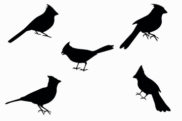 Set of Cardinal Birds Silhouette