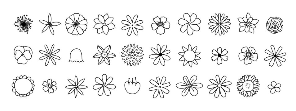 Simple Doodle Outline Flowers Set. Botanical modern trendy vector elements