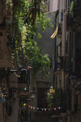 Street in city view with plants