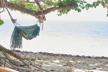 hammoc on the beach tied to a tree