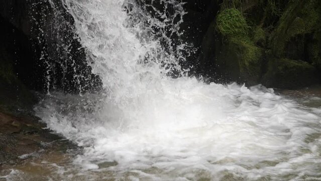 Breathtaking Mountain Waterfall in the Forest, Ukraine, Carpathians