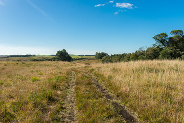 Hilly countryside view in Sao Francisco de Paula, Rio Grande do Sul - Brazil