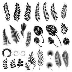 Leaves collection, silhouettes of trees and grass leaves. Vector illustration.