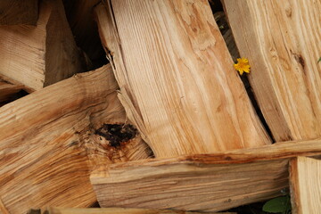 Morceaux de bois entrem&ecirc;l&eacute;s 