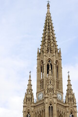 Fototapeta na wymiar Cathedral of the city of San Sebastian