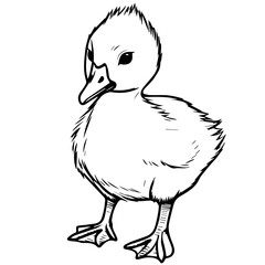 Goslin coloring page illustration