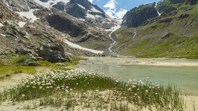 Time lapse, cotton-grass in the mountains near lake. The Vorder Tierberg Mountain. Canton of Bern, Switzerland.