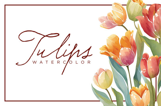 : Tulips Flower Watercolor Paint Vector
