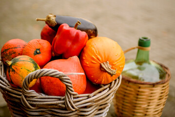 Big basket with autumn vegetables. Halloween decoration.