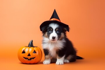 white dog in Halloween costume