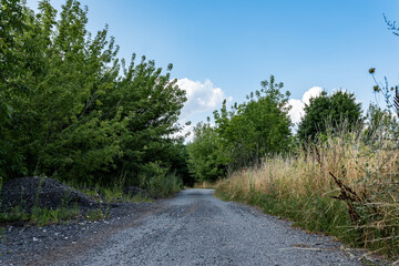 Fototapeta na wymiar polna droga pośrodku zariśli łąk i pól, krajobraz wiejski w rejonie zachodniej polski a w tle zielone drzewa błękitne niebo