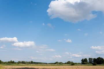 Fototapeta na wymiar Pojedyncze chmury w krajobrazie wiejskim pośrodku samotnego pola, pora letnia Opolszczyzna, błękitne barwy