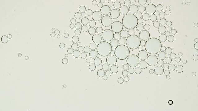 Macro shot of various air bubbles. Super slow motion Beauty glossy Moisturizing bubble blobs. High quality 4k footage. High quality 4k footage