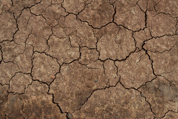 dry and cracked soil background