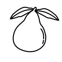 Fruit line icon