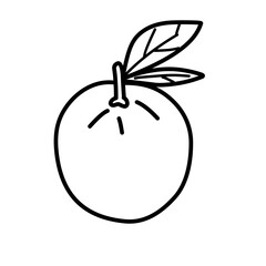 Fruit line icon