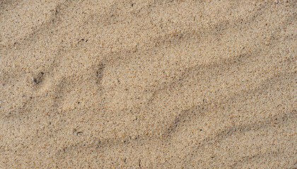 Fototapeta na wymiar Sand on the beach for background. Brown beach sand texture as background. Close-up.