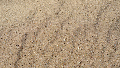 Sand on the beach for background. Brown beach sand texture as background. Close-up.