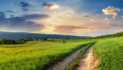 Fototapeta na wymiar Beautiful summer mountain rural landscape; Panorama of summer green field with dirt road and Sunset cloudy sky.