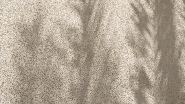 Palm leaf shadows on a sandy background. Tropical coconut palm leaf trees at sunlight. Advertising, product, background picture. Summer background, slow motion. . High quality 4k footage