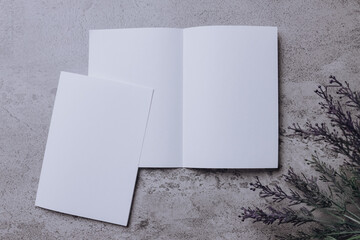 Identity design, corporate templates, company style, set of booklets, blank white folding paper...