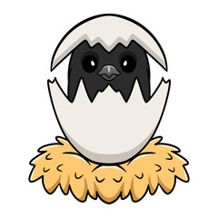 Cute bullfinch bird cartoon inside from egg