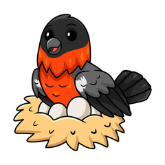 Cute bullfinch bird cartoon with eggs in the nest