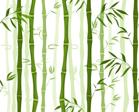 Seamless pattern with bamboo vector concept © Aleksey