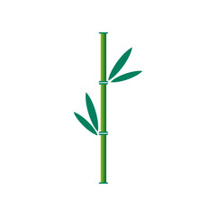 Bamboo brunch icon. Green bamboo drawing. Part of a bamboo stem with leaves. Vector illustration. Eps 10.