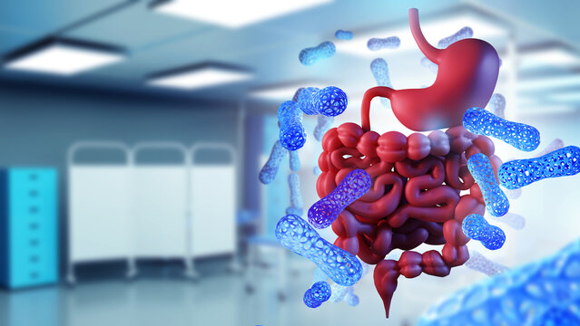 Probiotics for digestive system. Gastrointestinal tract. Probiotic cells near stomach. Gut microbiome. Digestive organs man. Probiotic molecules. Clinic blurred. Medicine gastroenterology. 3d image