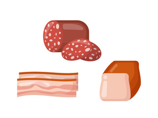 Set of meat products vector concept