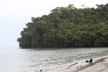 tropical beach scene with mountains in the background