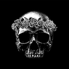 skull with roses thorn hand drawing vector isolated on black background.