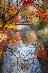 Autumn Scenery in a Park in the Famous Yufuin Resort Town