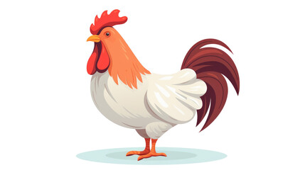 rooster isolated on white