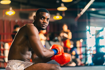 Young muscular african american male boxer looking at camera, wearing boxing gloves, standing...