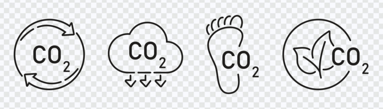 ECOFOOTPRINT. Eco footprint.