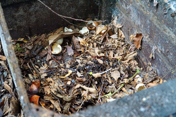 detailed close-up look into the interior of a compost bin, showcasing the organic matter in various stages of decomposition, turning waste into valuable compost for a sustainable garden.