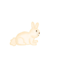 white rabbit isolated on white
