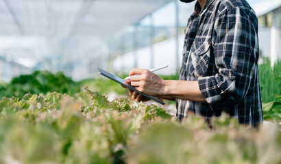  Asian couple of farmers inspects plants with a digital tablet In a greenhouse plantation. Smart...