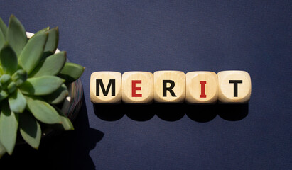 Merit symbol. Concept word Merit on wooden cubes. Beautiful deep blue background with succulent...