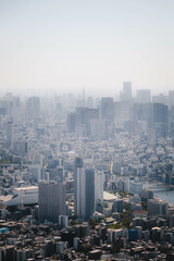 Tokyo city from above. Skyline of one of the largest cities in the world. Japan largest city.