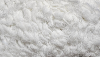 Cotton fiber texture background, white fluffy natural material