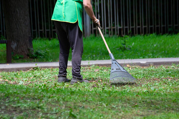Raking of mowed grass on lawn in summer park. Clean in garden back yard. Volunteering, cleaning,...